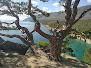 Школьники атомградов отправили на фотоконкурс более 500 работ