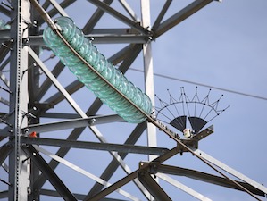 «Россети» в 2022 году установили рекордное количество птицезащитных устройств на ЛЭП – свыше 170 тысяч