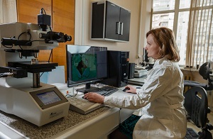 Ученые Росатома создали технологию производства листов из высокочистого ниобия для проектов большой науки