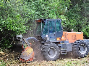 «Саратовские распределительные сети» направят на расчистку трасс ЛЭП свыше 21,8 млн рублей