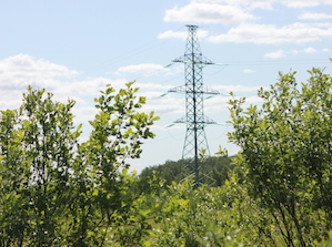 МЭС Центра расчистят трассы ключевых магистральных ЛЭП в Подмосковье