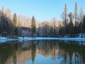 Росводресурсы актуализировали сценарий спецпопуска в низовья Волги