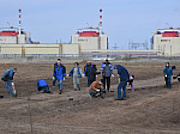 Сотрудники Ростовской АЭС высадили в Волгодонске 300 деревьев и кустарников