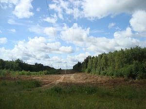 «Смоленскэнерго» расчистит в 2025 году около 4 тысяч га просек ЛЭП