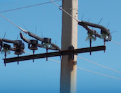 «Ростовэнерго» установит 260 птицезащитных устройств на ЛЭП в Цимлянском заповеднике