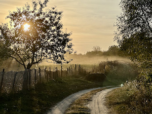 Международное жюри рассмотрело 856 фоторабот с изображением природы атомных городов