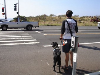 Британские электрокары обяжут шуметь