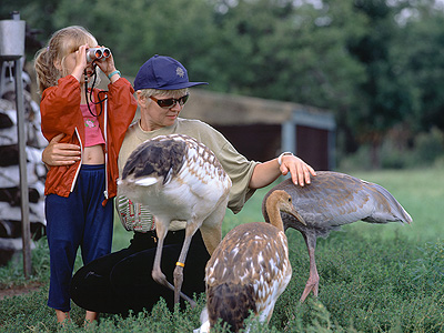 «Мой журавлик»: Каждому нужен друг