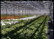 «Вологдаэнерго» реконструирует ВЛ