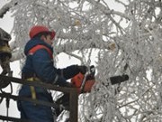 В планах МЭС Центра по подготовке к предстоящей зиме - закупка харвестеров