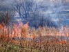 Лесной пожар обесточил ряд районов Бурятии и частично - город Улан-Удэ