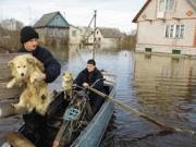 В обесточенное паводком село Преображенка доставят три электростанции