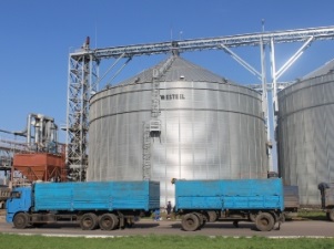 «Россети» содействует развитию агропромышленного комплекса Воронежской области