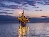Работы нефтяников на Сахалине угрожают китам