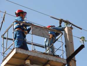 В «Оренбургэнерго» откроют экспериментальные птицезащитные полигоны