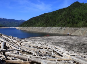 РусГидро очистит Саяно-Шушенское водохранилище от затопленной и плавающей древесины