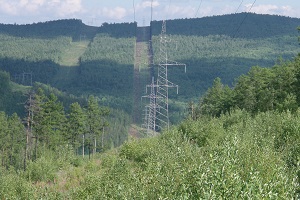 Горят леса в шести районах в Амурской области