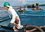 Гринпис приветствует инициативу Минприроды о проверке состояния всех нефтепроводов в РФ