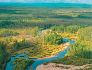 «Колмар» в 2019 году  рекультивирует 1394 га нарушенных земель