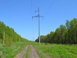 «Чувашэнерго» расчистит более 535 га трасс ЛЭП