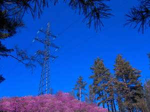 «Читаэнерго» присоединило к электросети новую скважину в поселке Приисковый