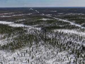 «Газпромнефть-Ноябрьскнефтегаз» применяет инновационный метод геохимической съемки для исследования Воргенского лицензионного участка