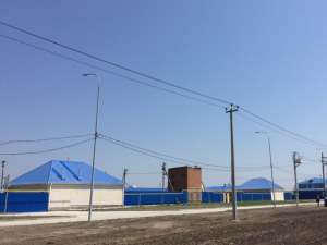 «Армавирские электрические сети» запитали от подстанции «Юбилейная» крупный свинокомплекс