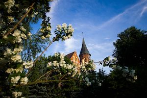 «Калининградская генерирующая компания» за отопительный сезон отпустили жителям Калининграда и Гусева 445 тысяч Гкал тепла