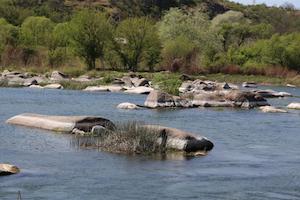 В аукционе по продаже электроэнергии Энергоатома приняло участие рекордное количество потенциальных покупателей
