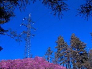 «Россети Сибирь» проверяют в Забайкалье системы энергоснабжения курортов и детских оздоровительных лагерей