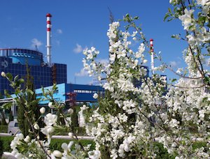 АЭС Украины недовыработали за сутки 43,79 млн кВт/ч из-за балансовых ограничений