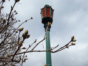 Исторические фонари Марсова поля отправляются на реставрацию