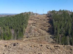 Трассу линии электропередачи НКМ-лаборатории в Железногорске очистят от порубочных остатков