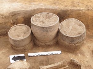 «Транснефть – Дружба» обеспечила сохранность археологических находок эпохи бронзы в Самарской области