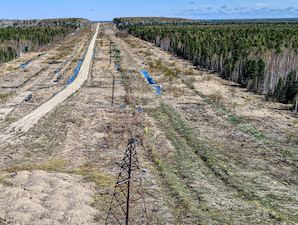 В лесах Тюменской области действует режим ЧС из-за пожароопасной ситуации