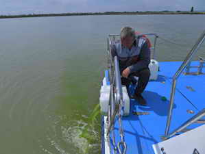 Ростовская АЭС впервые провела экологическую реабилитацию реки Дон от сине-зелёных водорослей