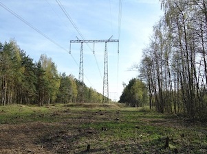 «ФСК ЕЭС» расчистит 3 тысячи гектаров просек ЛЭП в Поволжье