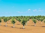 «Инновационная деревня» в Волгоградской области получила 85 кВт мощности