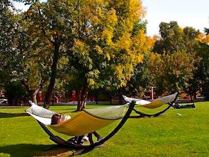 «Россети» увеличили в три раза выдачу мощности объектам городского сада «Эрмитаж» в центре Москвы