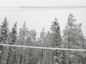 Сахалинэнерго восстанавливает электроснабжение населенных пунктов Поронайского района