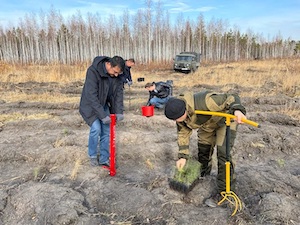«Далур» профинансирует мероприятия по лесовосстановлению в Зауралье на площади 250 га