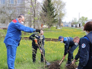 Работники Орловского сталепрокатного завода посадили на территории предприятия саженец потомка Тургеневского дуба