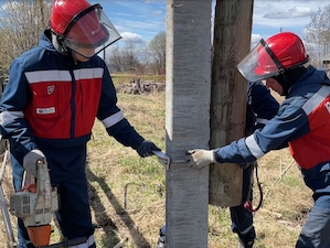 «Россети Северо-Запад» расчистят 100 га просек воздушных ЛЭП в Сысольском районе Республики Коми