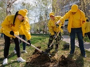«Оренбургнефть» провела масштабную экологическую акцию «Лес для будущего»
