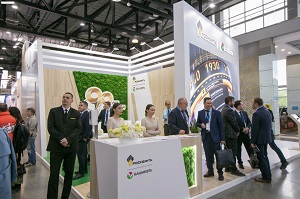 Остается неделя до открытия выставки 