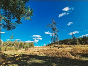 Фотоловушки помогут энергетикам предотвратить хищения с забайкальских ЛЭП