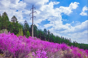 Забайкальские энергетики готовы обеспечить надежное электроснабжение пунктов проведения ЕГЭ