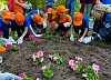 1500 цветов посадили волонтеры акции «оБЕРЕГАй» на аллее в Ельниковской рощев в Новочебоксарске