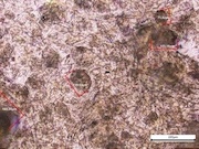 Ученые Пермского Политеха разрабатывают микрогели для нефтедобычи