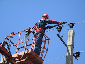 «Россети Юг» обезопасили для птиц ЛЭП в заповеднике Волгоградской облас